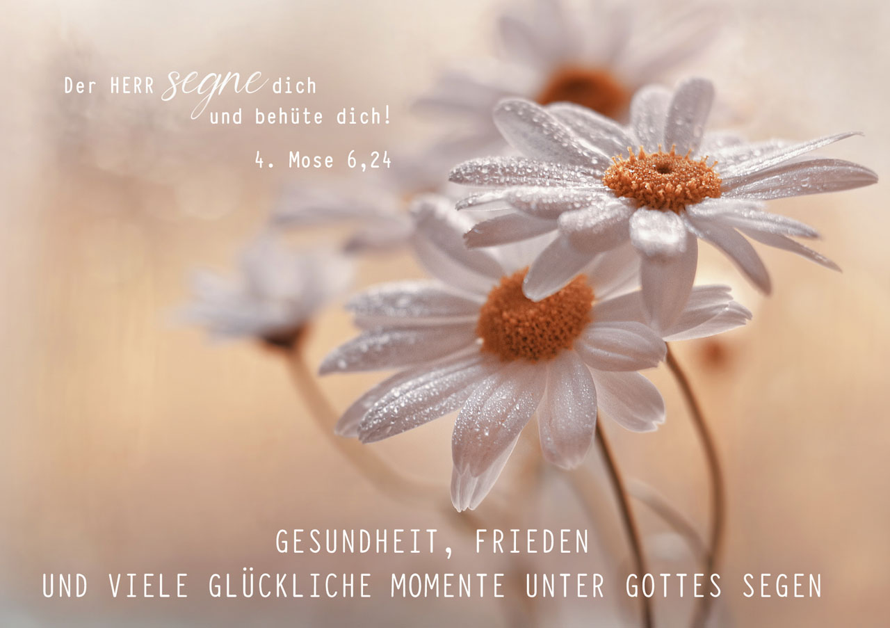 Faltkarte Geburtstag