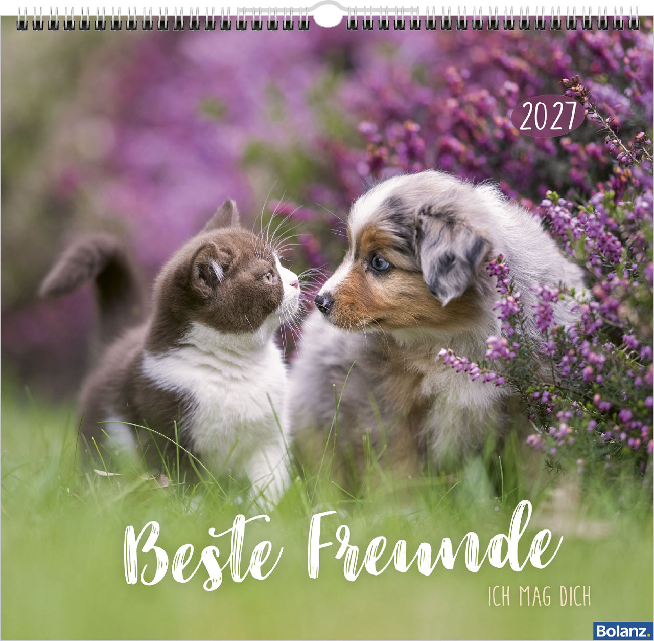 Beste Freunde – Ich mag dich 2027 – Posterkalender