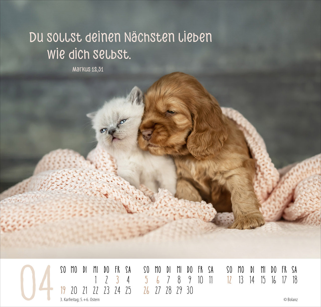 Beste Freunde - Ich mag dich 2026 - Posterkalender