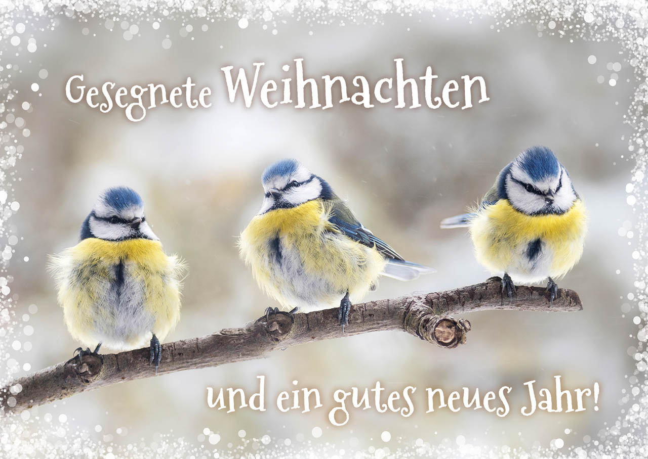 Postkartenbox Besinnliche Weihnachtzeit -  Anlass: Weihnachten (15 x 11 cm)
