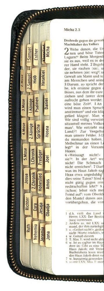Bibel-Griffregister für alle Ausgaben ohne Apokryphen -  (24,9 x 17,5 x 0,1 cm)