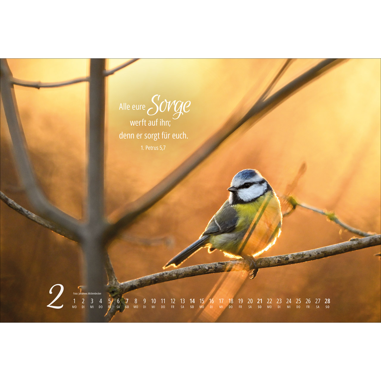 Real Wildlife 2027 -  (49 x 34 x 0,1 cm)