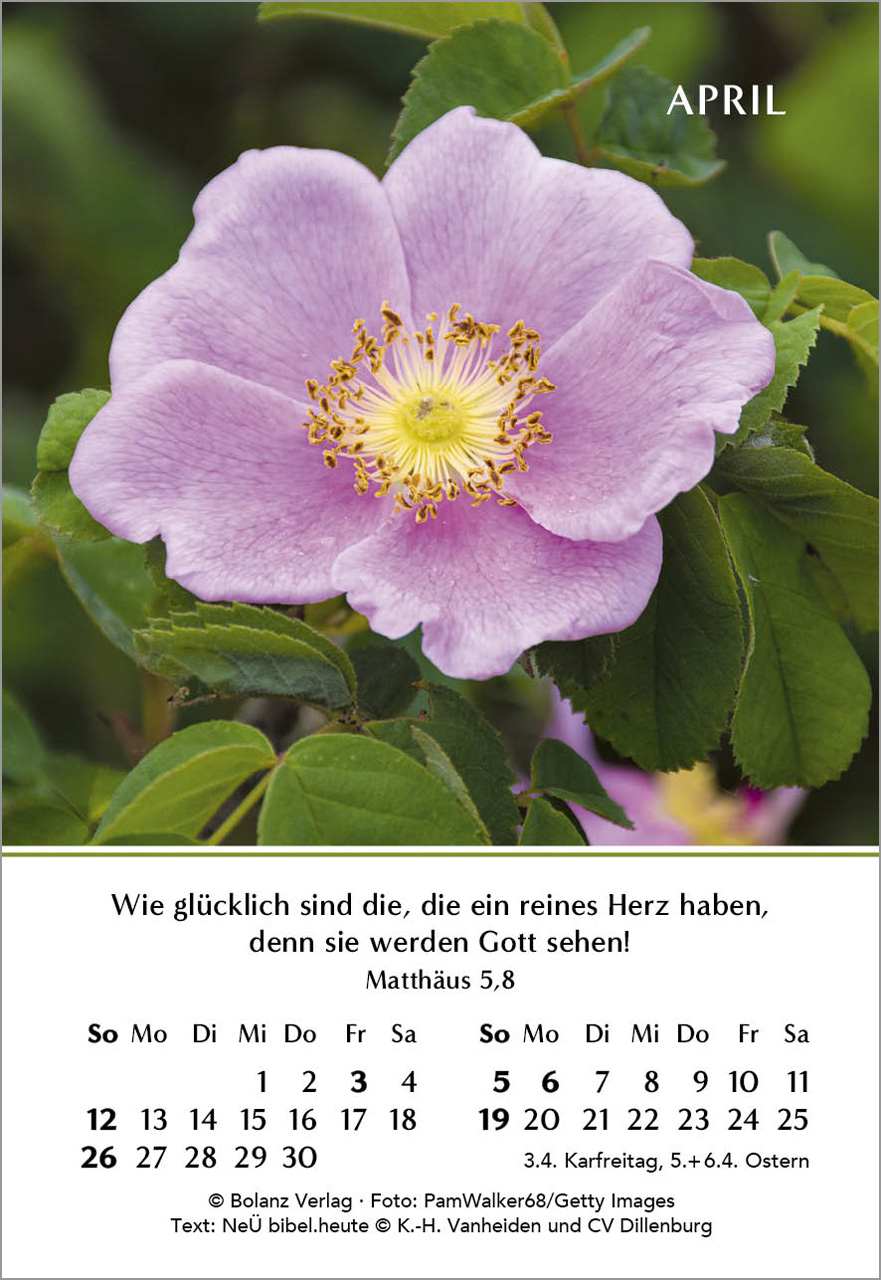 Ein Jahr der Freude Mini-Kalender 2026