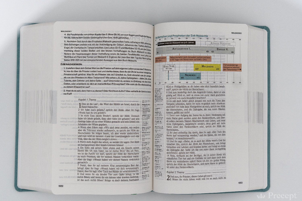 Die Neue Induktive Studienbibel - Schlachter
