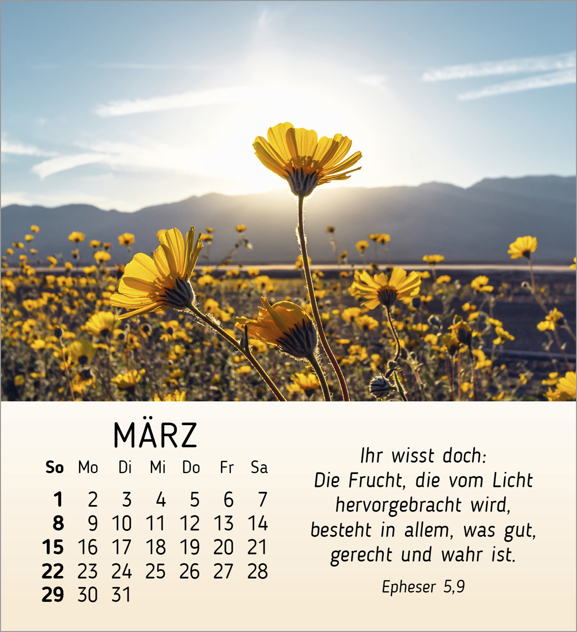 Schöheit des Lichts Tischkalender 2026