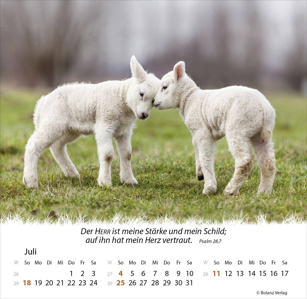 Ein Leben für die Schafe 2027 – Tischkalender