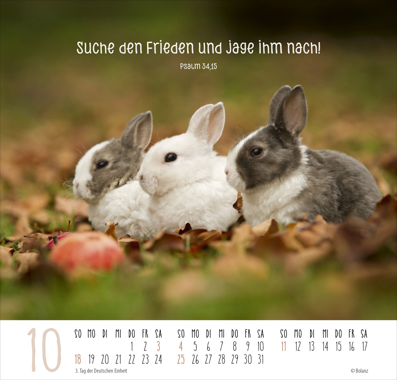 Beste Freunde - Ich mag dich 2026 - Posterkalender