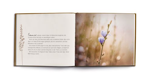 Über den Abschied hinaus - Lichtblicke in Zeiten der Trauer -  Anlass: Trost Autor: Antje S. Naegeli - Hardcover 1. Auflage (17 x 14 x 0,4 cm)