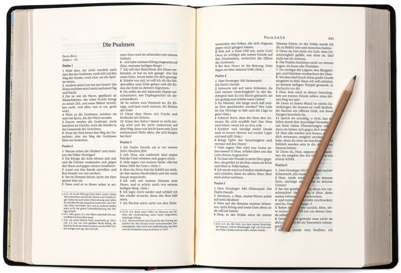 Schlachter 2000 Bibel – Schreibrandausgabe (flexibler Leder-Umschlag, schwarz) -  - Softcover - Leder 5. Auflage (17,2 x 24 x 3,2 cm)