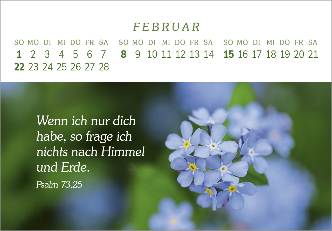 Das Geschenk der Freude 2026