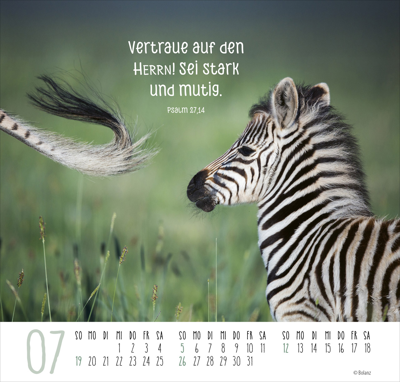 Beste Freunde - Ich mag dich 2026 - Posterkalender