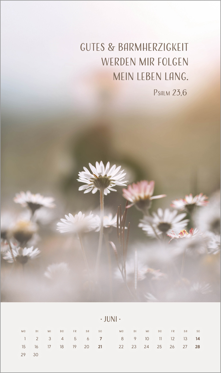 Zarte Blumengrüße Wandkalender 2026