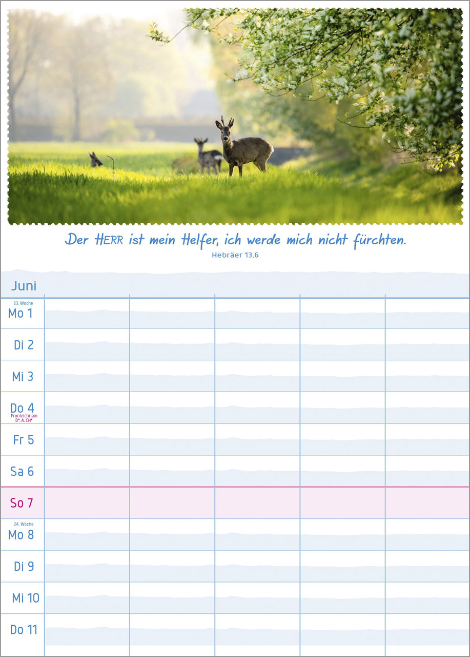 Multiplaner 2026 - Terminplaner