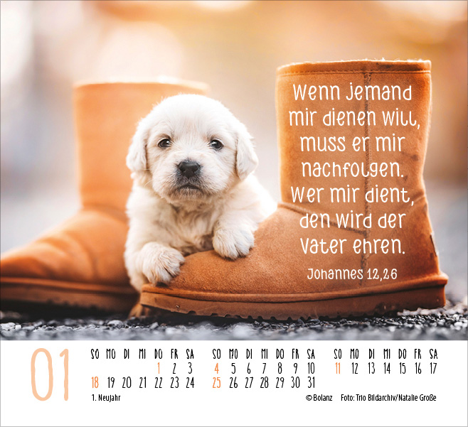 Hunde - treue Wegbegleiter  - Minikalender 2026