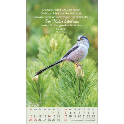 Beflügelt und geborgen 2026 -  (12 x 21 cm)