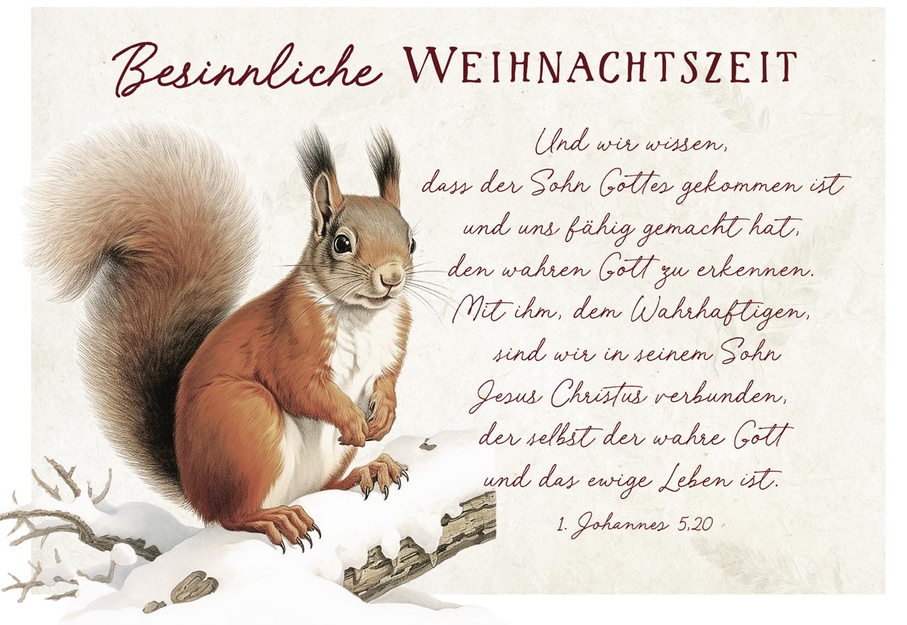 Postkarte Eichhörnchen zu Weihnachten -  Anlass: Weihnachten (14,8 x 10,5 cm)