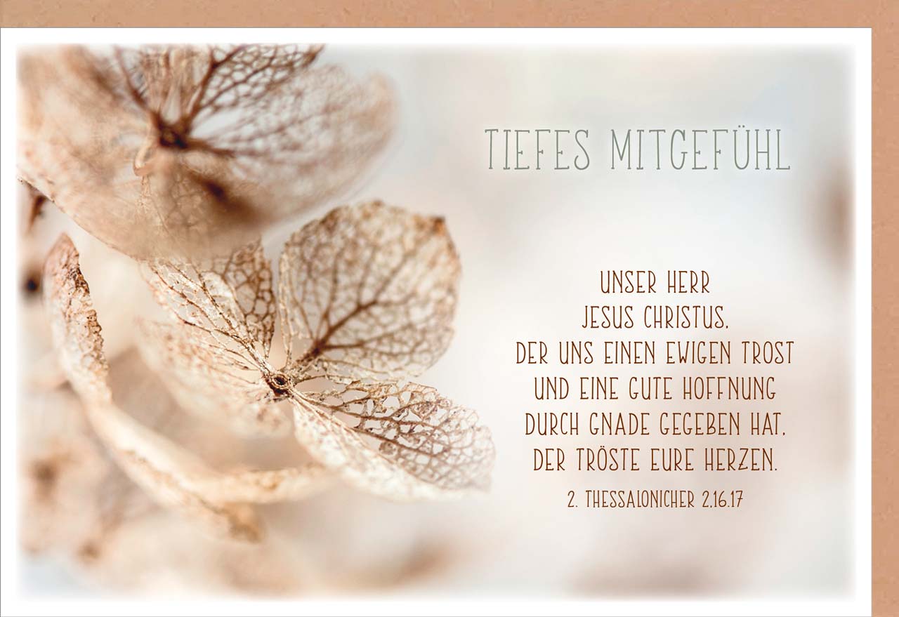 Faltkarte Tiefes Mitgefühl - gute Hoffnung -  Anlass: Trauer (17 x 11,5 cm)