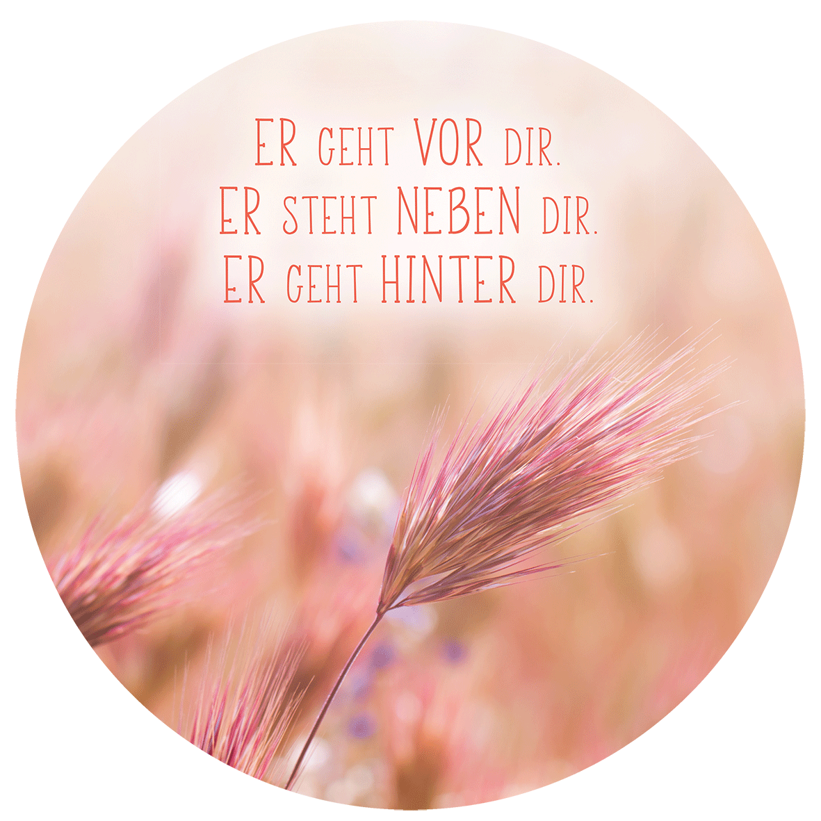Wandschmuckbild Gräser 40 cm -  (40 cm Durchmesser)