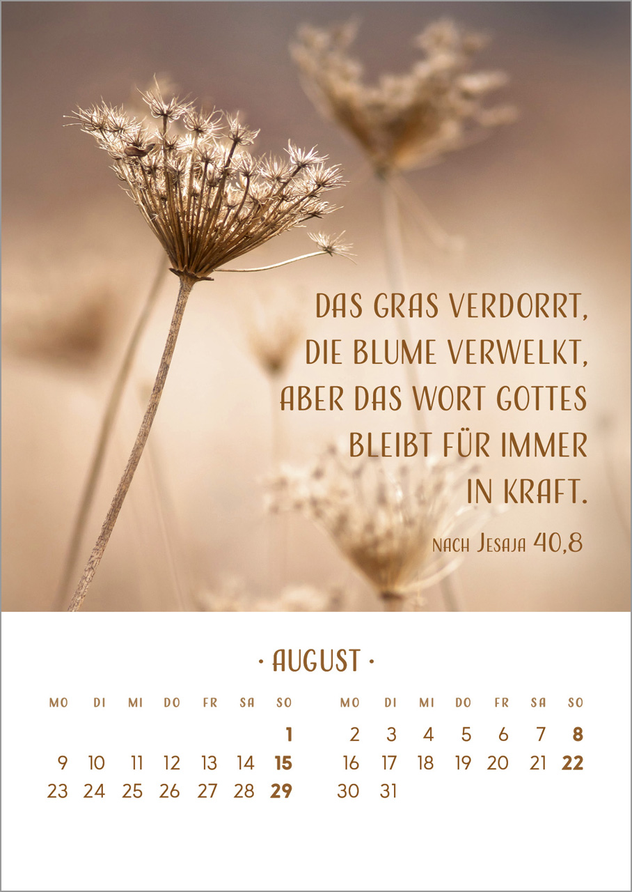 Zarte Blumengrüße 2027 – Tischkalender mit Holzaufsteller