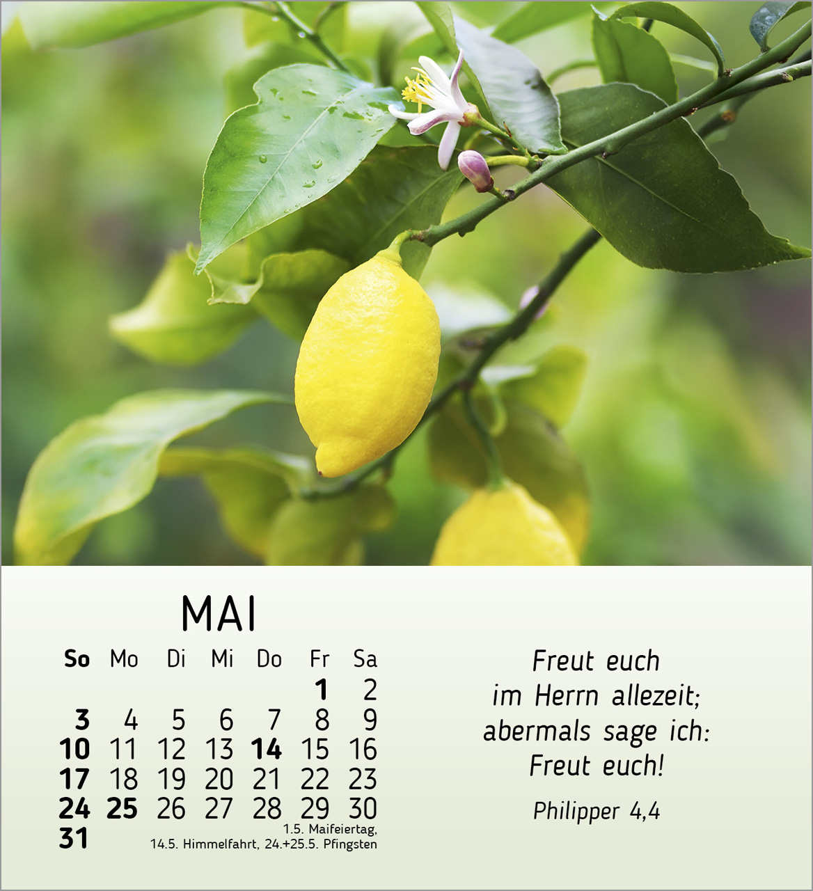 Stille Begegnungen Tischkalender 2026