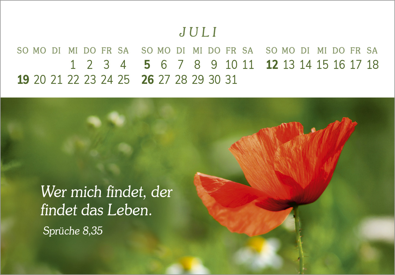 Das Geschenk der Freude 2026