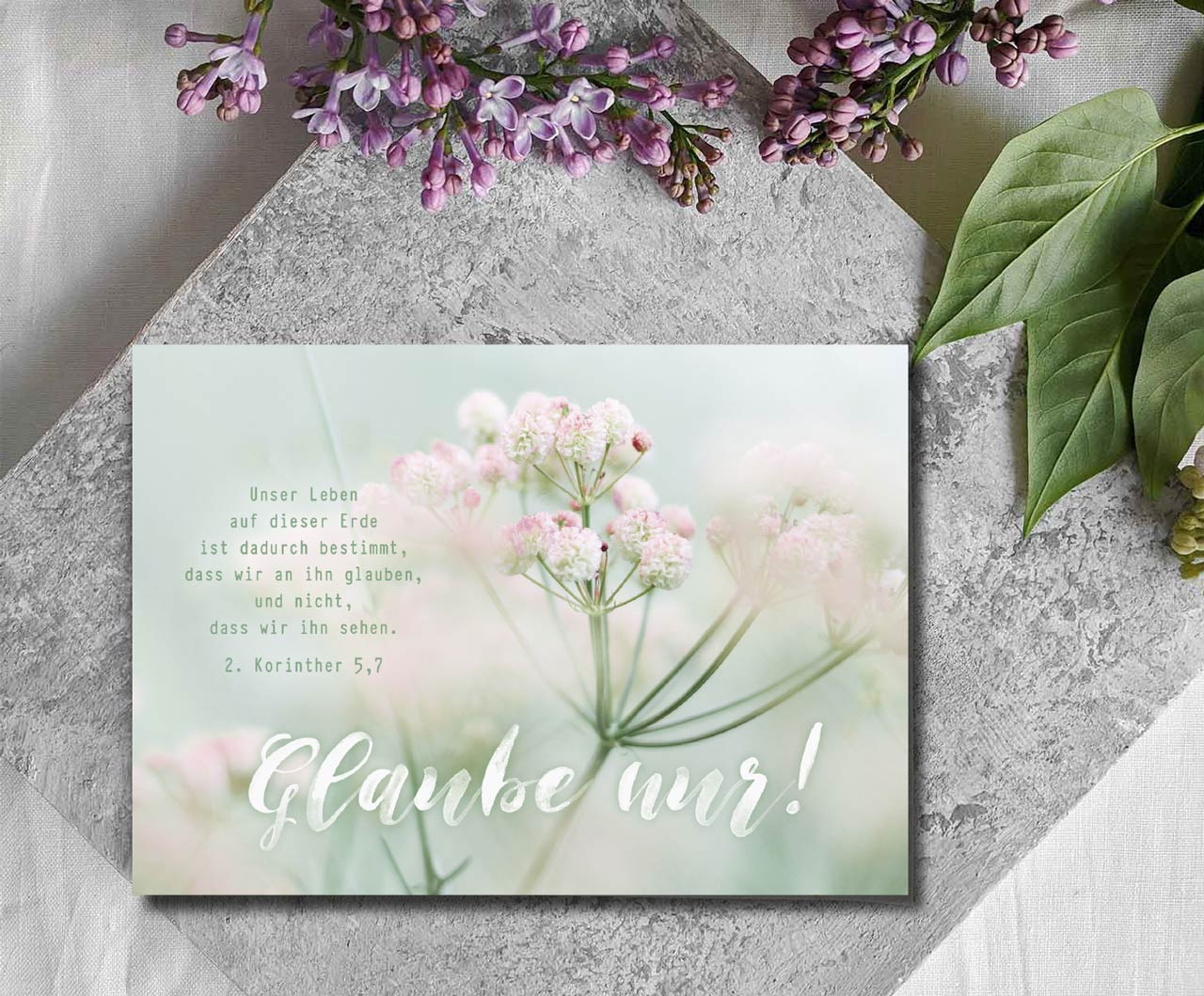 Postkarte Glaub nur! -  (14,8 x 10,5 cm)