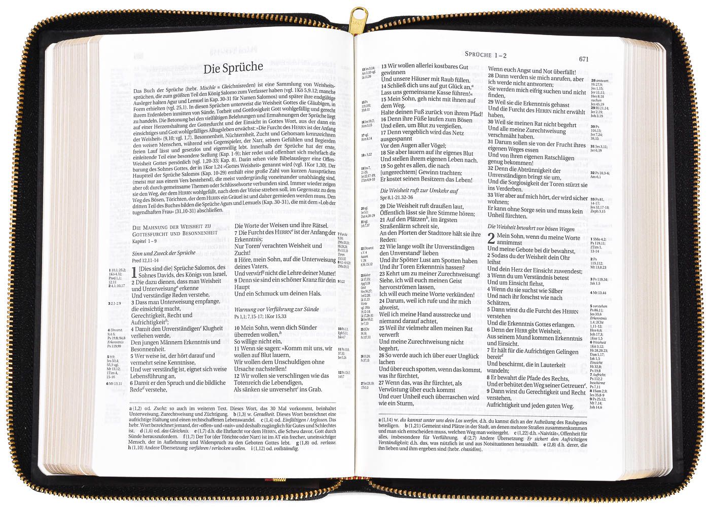 Schlachter 2000 Bibel - Taschenausgabe, Softcover, Goldschnitt, Reißverschluss, Kalbsleder -  - Leder 11. Auflage (14,4 x 21 c 3 cm)