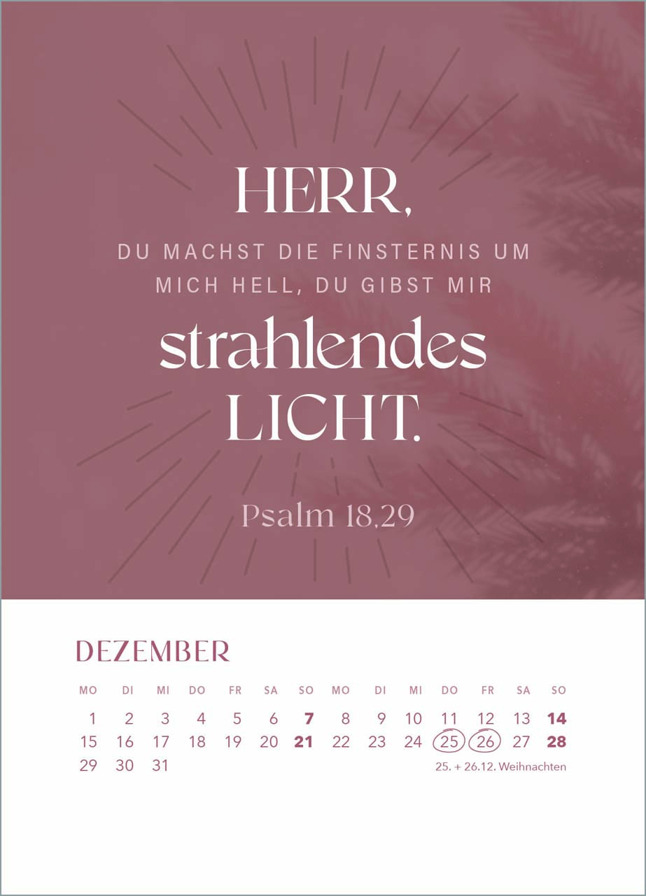 Hoffnung für immer 2025 - Tischkalender mit Holzaufsteller Hoffnung für immer 2025 - Tischkalender mit Holzaufsteller