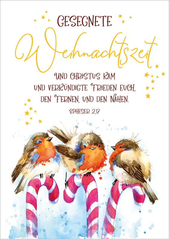 Faltkarte Rotkehlchen auf Zuckerstanden -  Anlass: Weihnachten (17 x 12 cm)