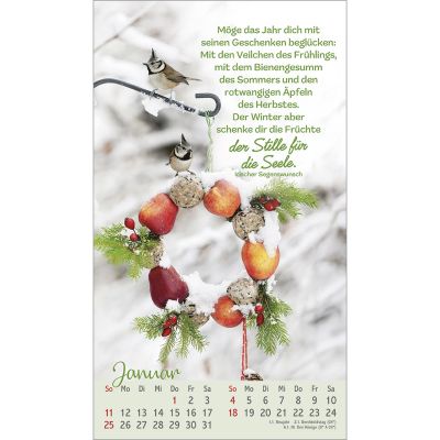 Beflügelt und geborgen 2026 -  (12 x 21 cm)