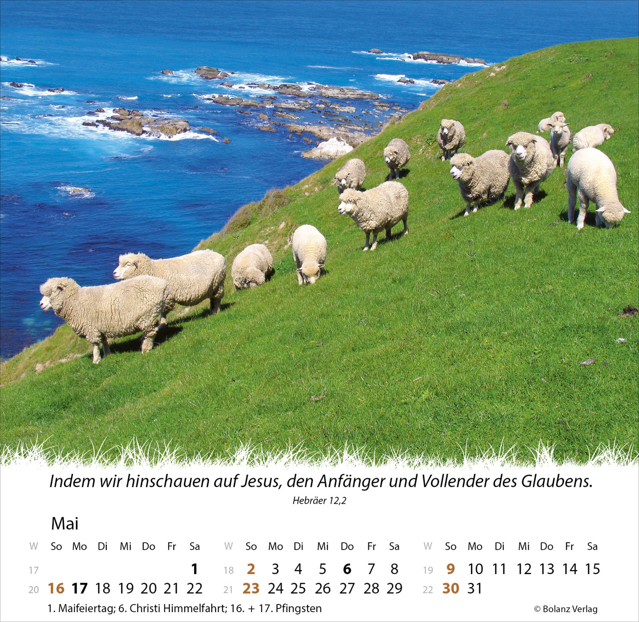 Ein Leben für die Schafe 2027 – Tischkalender