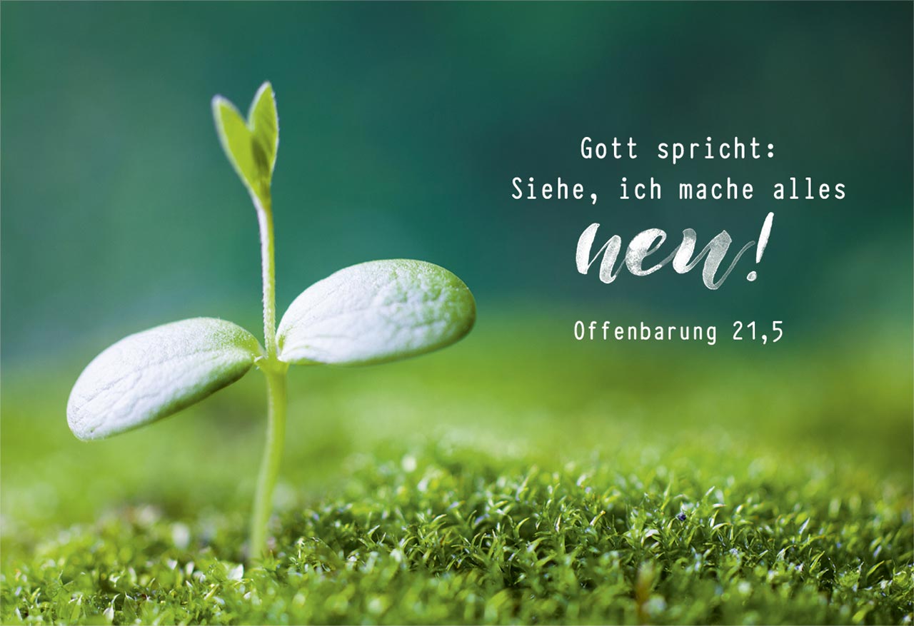 Minikarten Jahreslosung -  Anlass: Jahreslosung (7,2 x 10,5 cm)