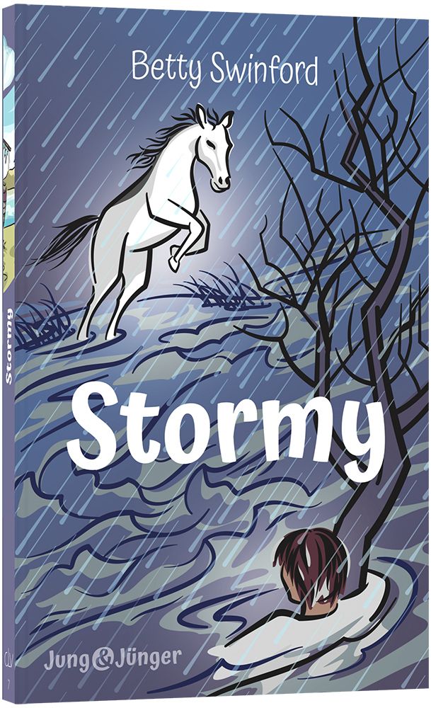 Stormy (7) -  Autor: Betty Swinford - Paperback 1. Auflage (13,5 x 20,5 x 1,4 cm)