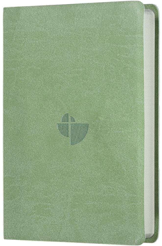 Schlachter 2000 Bibel - Taschenausgabe, oliv, grauer Farbschnitt -  - Softcover 11. Auflage (13,8 x 19,9 x 2,9 cm)