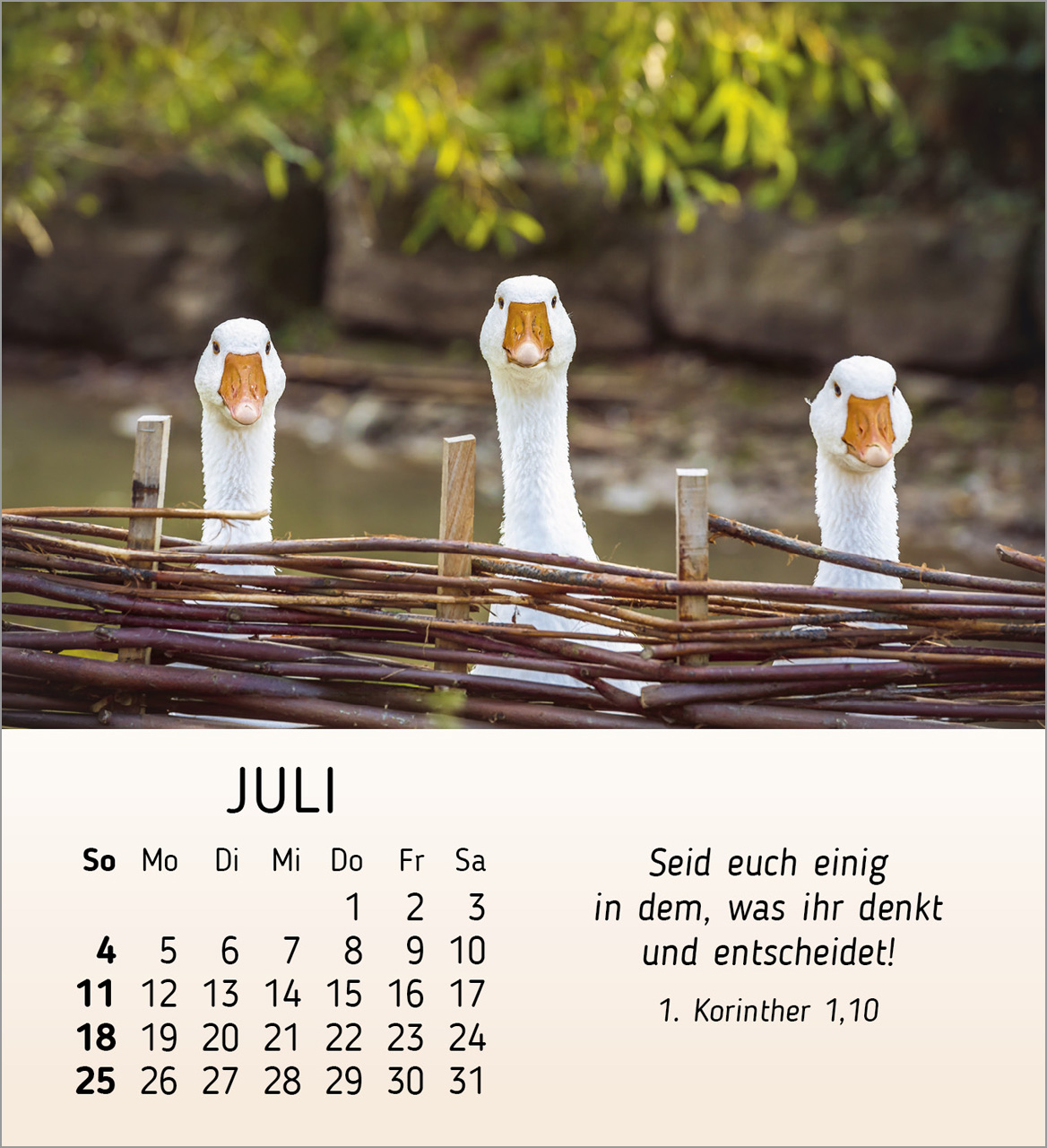 Meine kleinen Freunde 2027 – Tischkalender