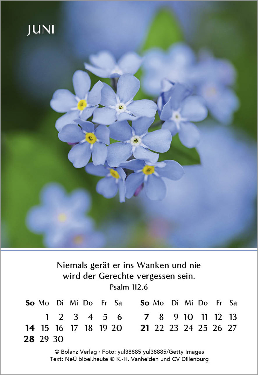 Ein Jahr der Freude Mini-Kalender 2026