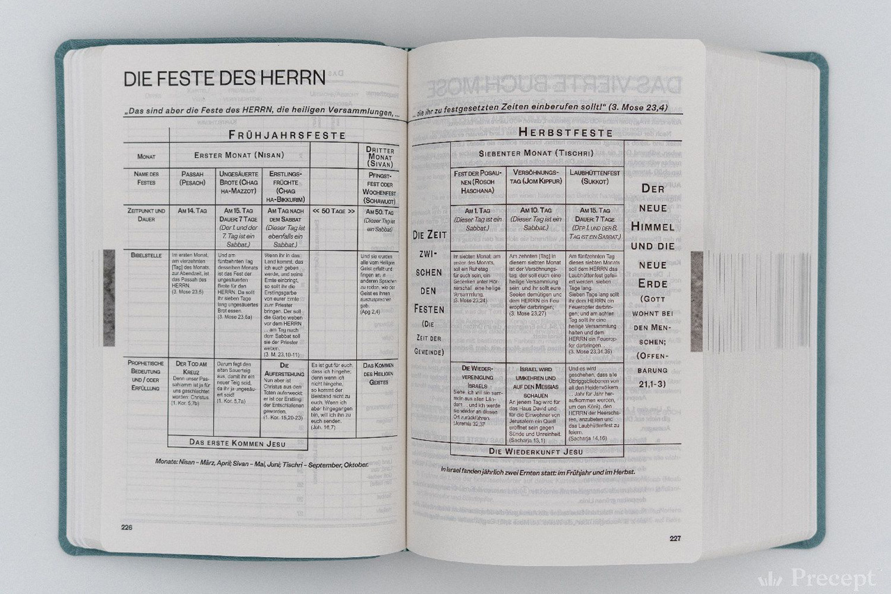 Die Neue Induktive Studienbibel - Schlachter