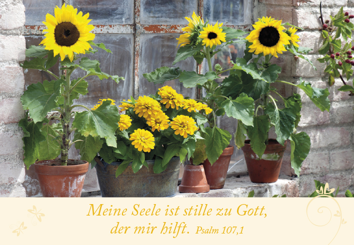 Neujahrslose Garten -  (9,8 x 6,8 cm)