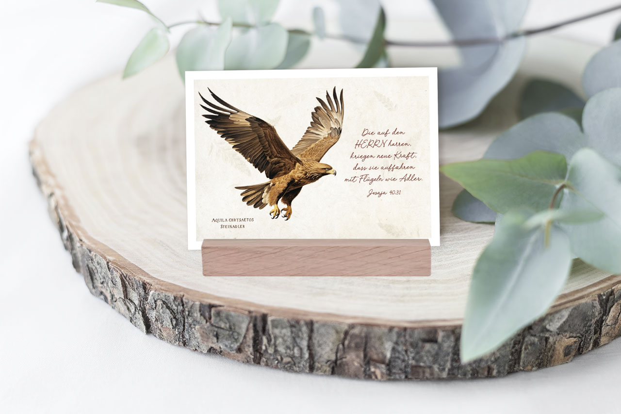 Postkarte Adler -  (14,8 x 10,5 cm)