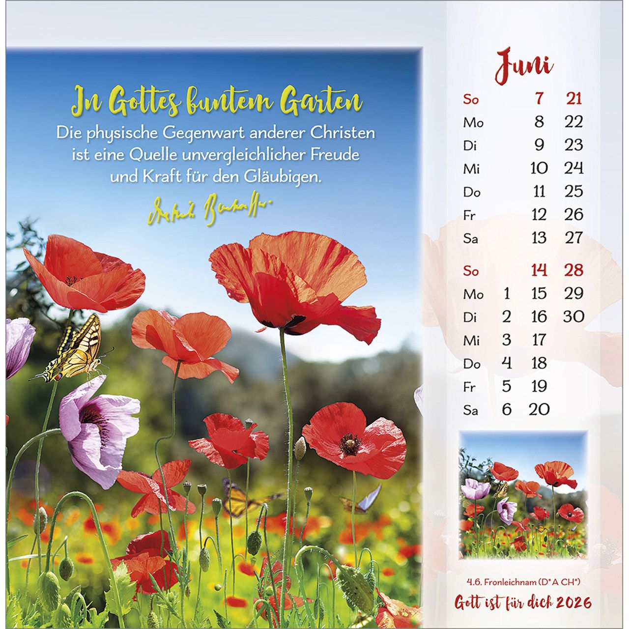 Gott ist für dich 2026 -  Autor: Dietrich Bonhoeffer (16 x 16 cm)