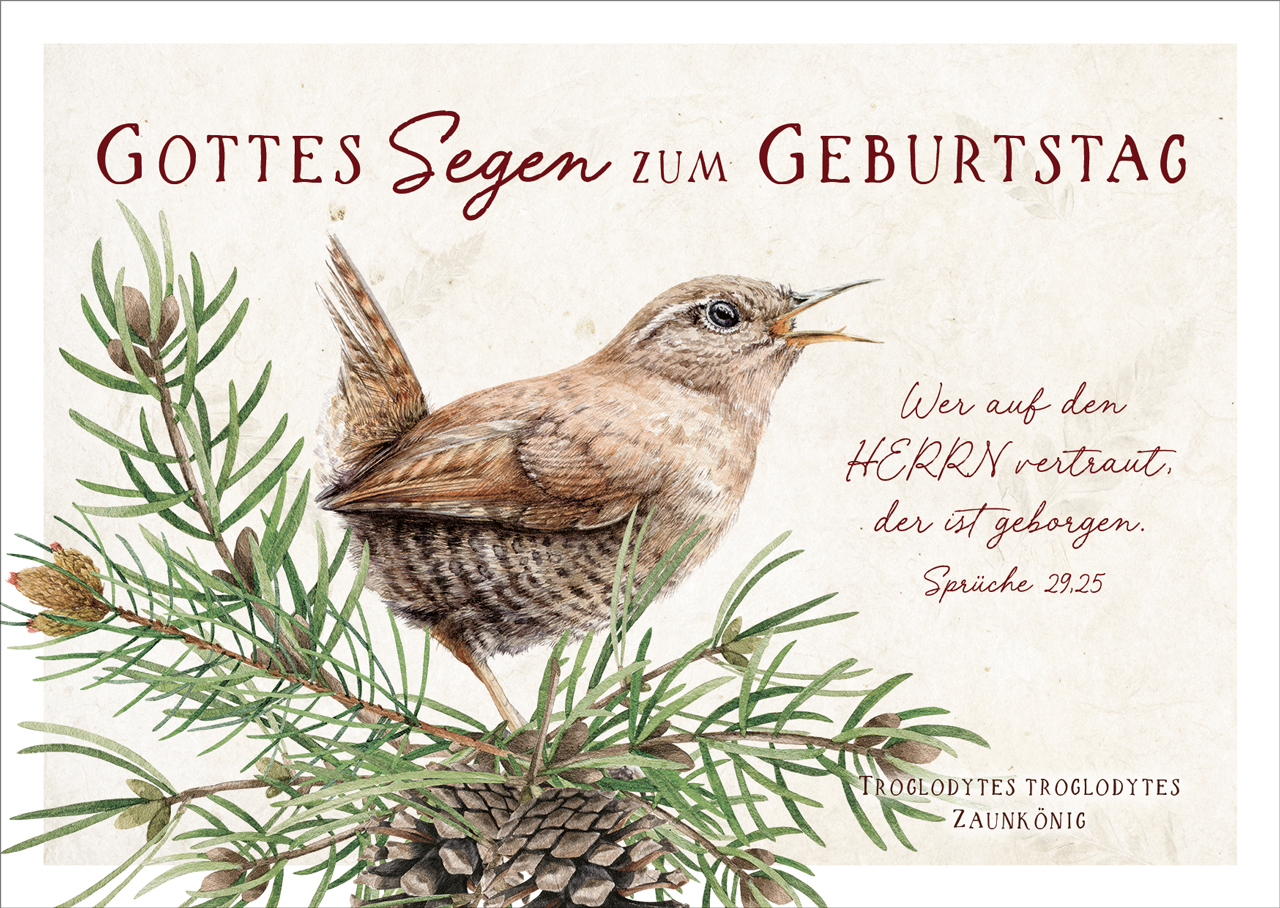 Postkarte Wer auf den HERRN vertraut - Zaunkönig -  Anlass: Geburtstag (14,8 x 10,5 cm)