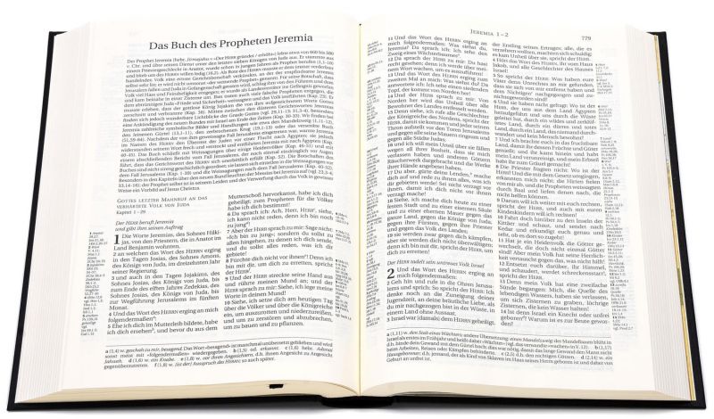 Schlachter 2000 Bibel – Standardausgabe (Hardcover, schwarz) -  - Hardcover unbekannt (17 x 23,6 x 3,1 cm)