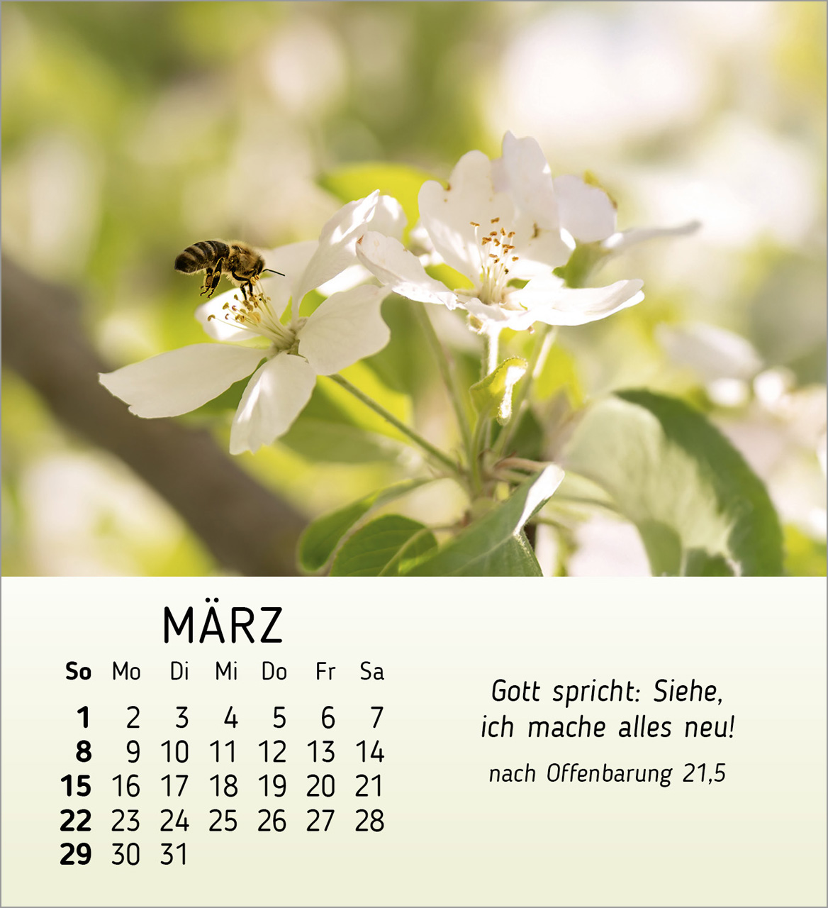 Stille Begegnungen Tischkalender 2026