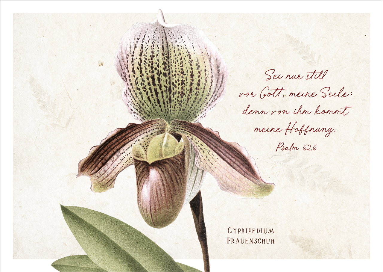 Postkarte Sei nur still - Frauenschuhblüte -  (14,8 x 10,5 cm)