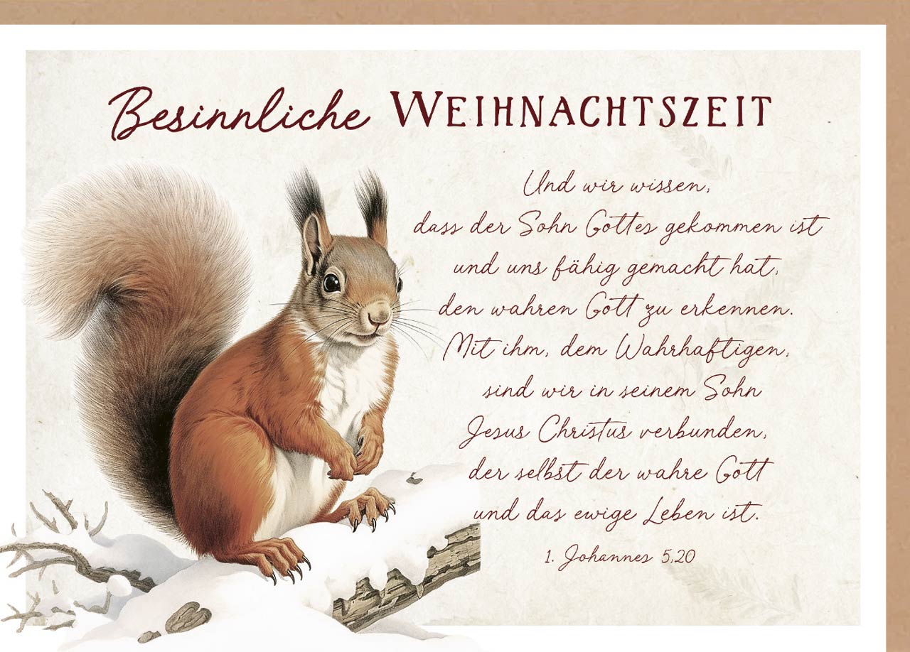 Faltkarte Weihnachten Eichhörnchen im Winter -  Anlass: Weihnachten (17 x 12 cm)