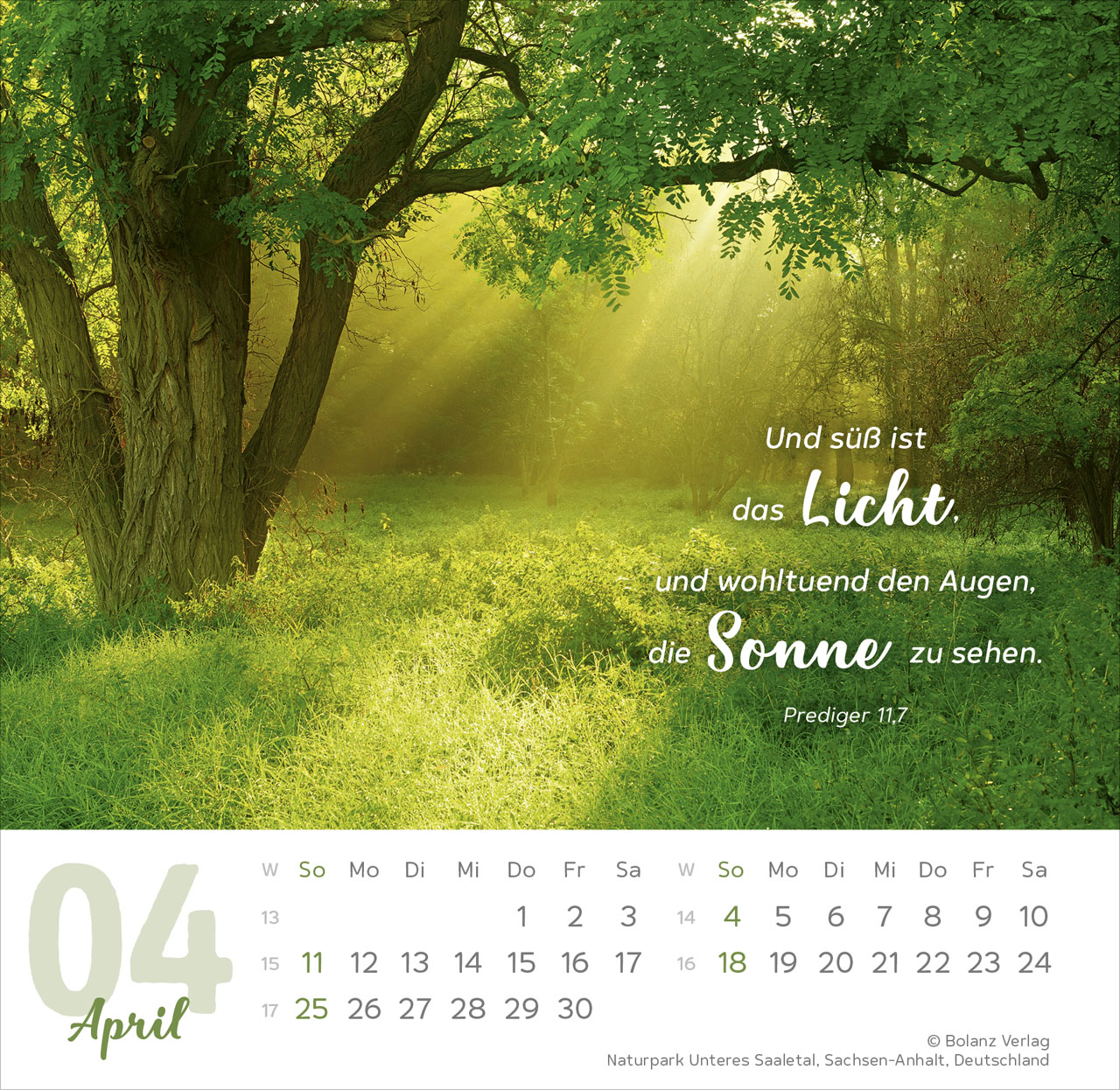 Meine Zeit 2027 – Tischkalender