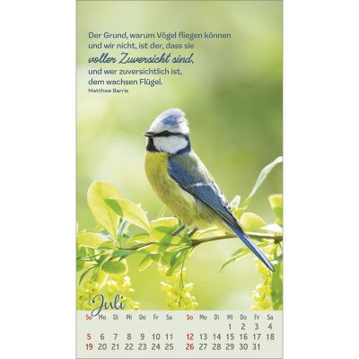 Beflügelt und geborgen 2026 -  (12 x 21 cm)