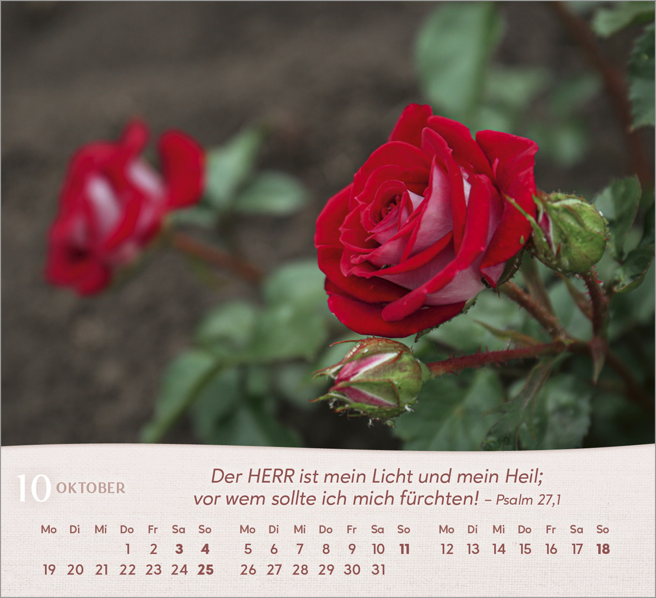 Rosen Tischkalender 2026