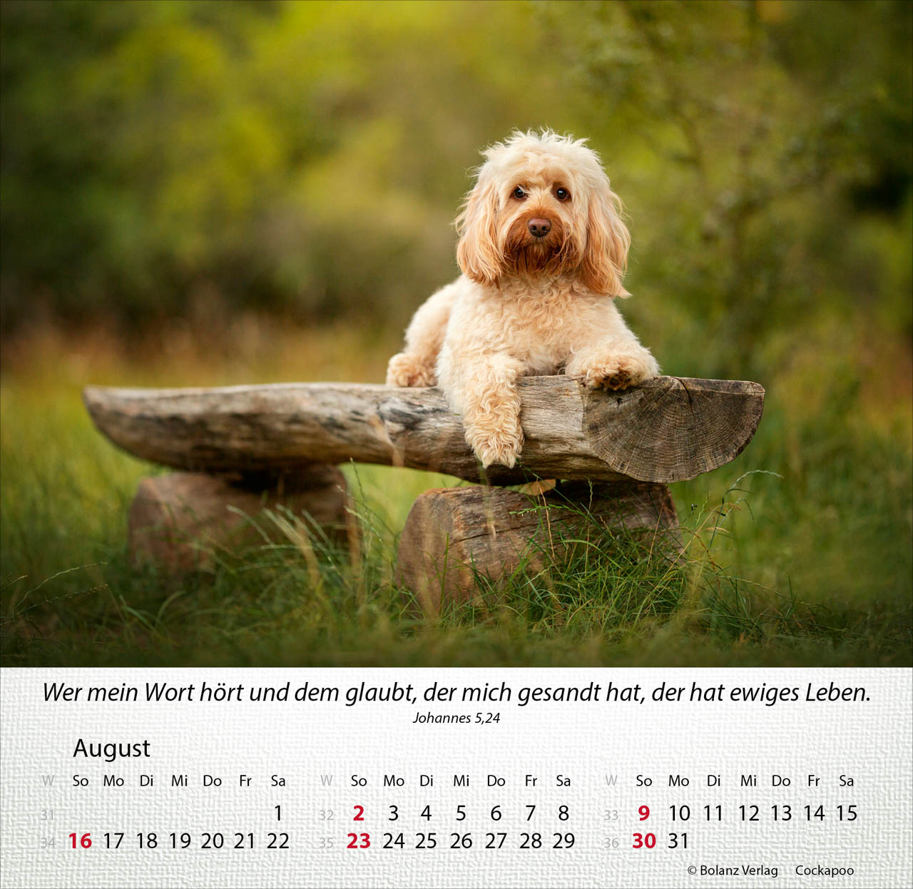 Hunde 2026 - Tischkalender