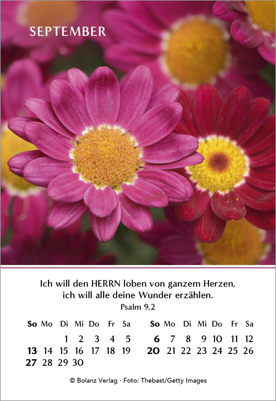 Ein Jahr der Freude Mini-Kalender 2026